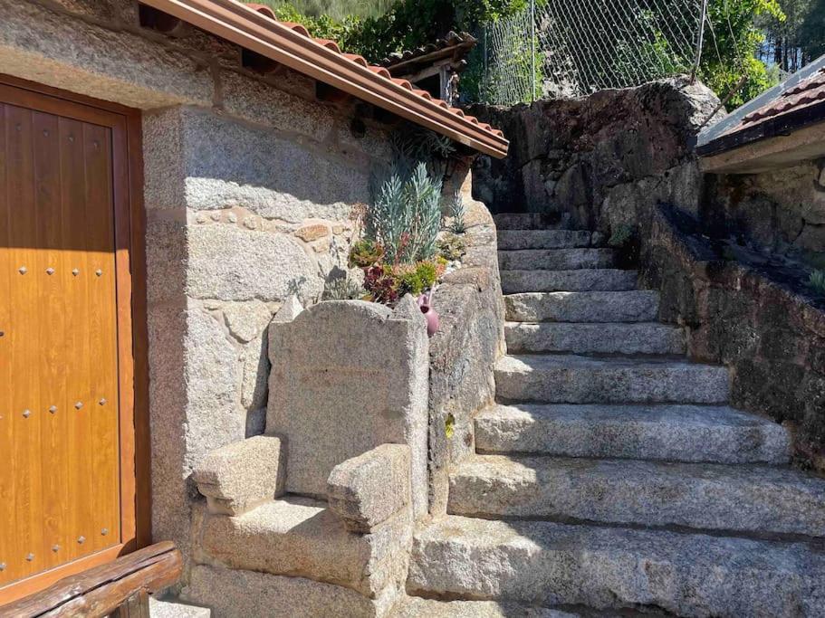 הוילה Petra'S House ג'רס מראה חיצוני תמונה
